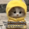 Memes 33 14