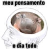 Moo deng meme 12