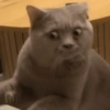 Mood Random 7