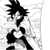 Goku xeno 29