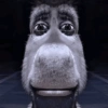 Memes do Shrek 🟢 7