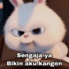 Rabbit Putih 🐰 12