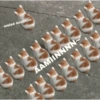 Kucing imoet 20
