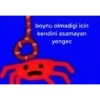 Türkçe Meme 3 13