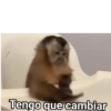 Memes 33 24