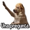 @rose.stickers1 Una pregunta