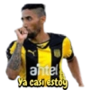 Peñarol 13