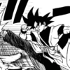 Goku xeno 27