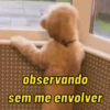 Pack de doguinhos zoeiros 🐶🤣 15