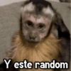 Changuitos🐒🍌 22