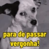 para de passar vergonha!