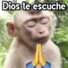 Changuitos🐒🍌 17