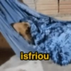 anabove isfriou