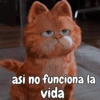 Garfield vol.2 🐈🐾 13