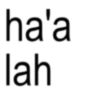 Text anomali alomani 19