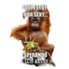 Reyes magos memes 👑🤴 11