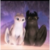 Toothless  7