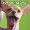 BOM DIA PESSOAL!