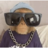 Monos graciosos😝 11