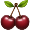 Iphone emojis burdeos 🍷🍒♥️ 14