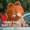 Garfield vol.2 🐈🐾 16