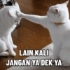 Kucink bucin lagi 6
