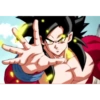Goku xeno 9