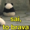 RESPOSTAS RÁPIDAS 12