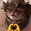 Mood Random 12