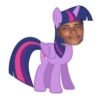 Poxetividade ii😎 5