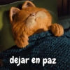 Garfield vol.2 🐈🐾 26