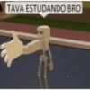 TAVA ESTUDANDO BRO