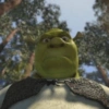 Memes do Shrek 🟢 9