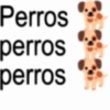 Perros perros perros