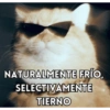 ✔️MEMESITOS QUE NECESITAS 🤭 11