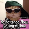 @rose.stickers1 Yo no tengo flow, yo soy el flow