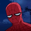 Memes Homem-Aranha 29