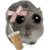 Hamster🎀 5