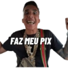 FAZ MEU PIX