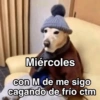 Frío ✨❄️☃️MEMES 17