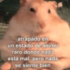 Randoms pal chat 🥴 13