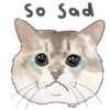 @KiwiBritishCat 7