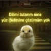 neoncivciv Dilimi tutarım ama yüz ifadesine çözümüm yok