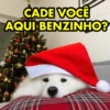 CADE VOCÊ AQUI BENZINHO?