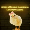 YERDEN GÖĞE KADAR OLAMASAM DA 1.65'E KADAR HAKLIYIM neoncivciv