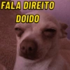 Os melhores memes/shitpost 5