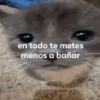 en todo te metes menos a bañar