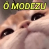 RESPOSTAS RÁPIDAS 10