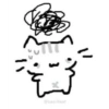 Silly Cats :3 7