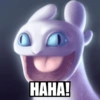 Toothless & Lightfury 16